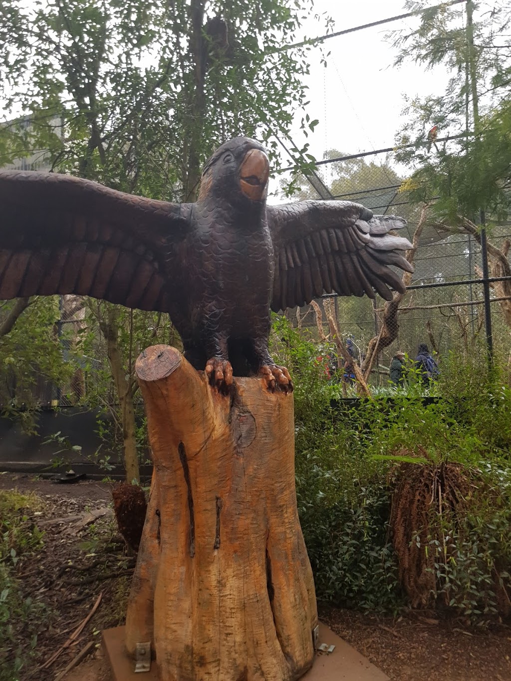 Healesville Sanctuary | Badger Creek Rd, Badger Creek VIC 3777, Australia | Phone: 1300 966 784