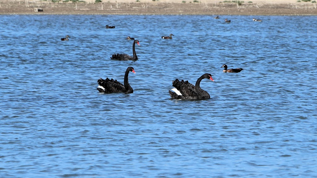 Brickworks Billabong | park | Merbein VIC 3505, Australia