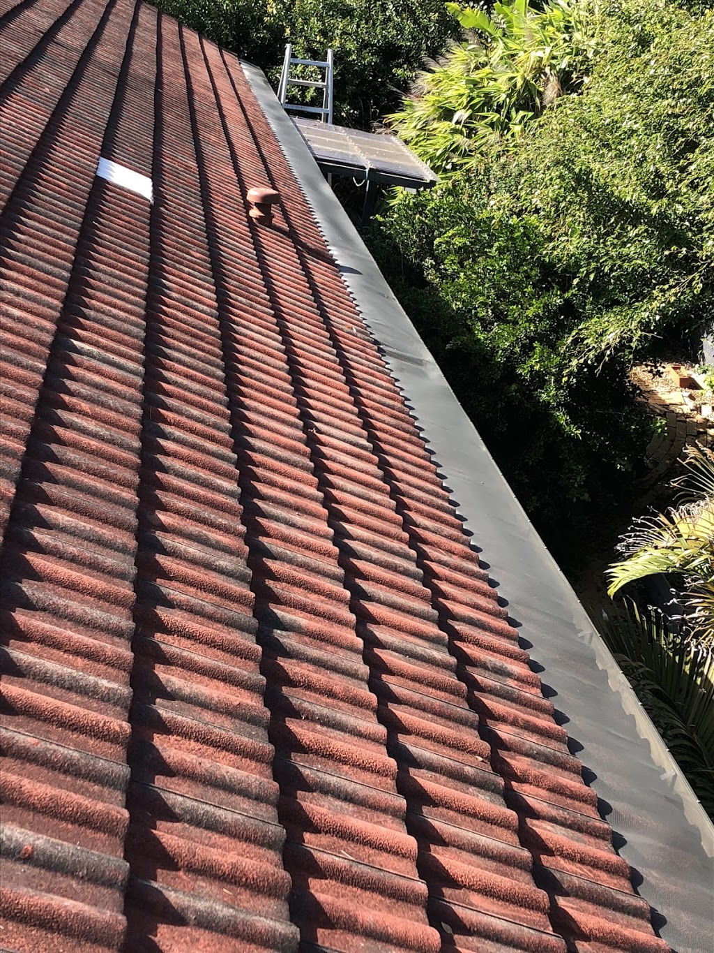 Gutter Knight - Coffs Harbour | roofing contractor | 58 Mimiwali Dr, Bonville NSW 2469, Australia | 0429797545 OR +61 429 797 545