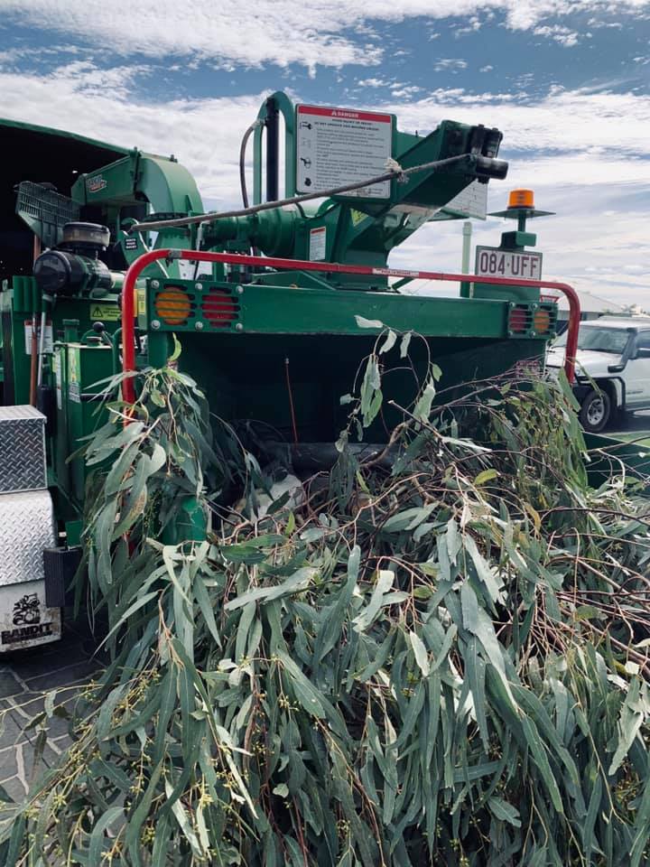 Cut Above Tree Care | 2 Queen St, Roma QLD 4455, Australia | Phone: 0412 303 650