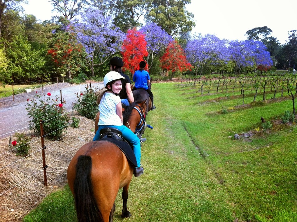 Port Macquarie Horse Riding Centre | 10 Winery Dr, Port Macquarie NSW 2444, Australia | Phone: 0487 004 483