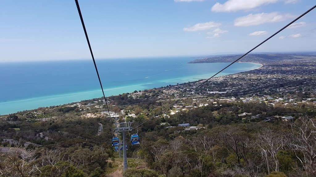 Ridge Rider Hop On Hop Off | 776 Arthurs Seat Rd, Arthurs Seat VIC 3936, Australia | Phone: 0447 037 646