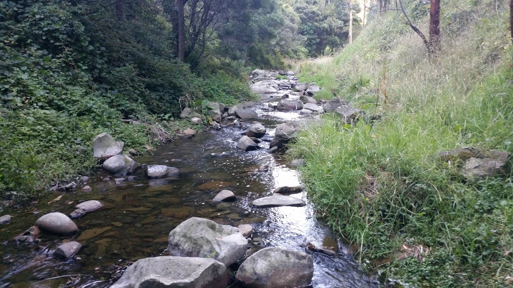 Wild Dog Creek Streamside Reserve | park | Wild Dog Rd, Apollo Bay VIC 3233, Australia