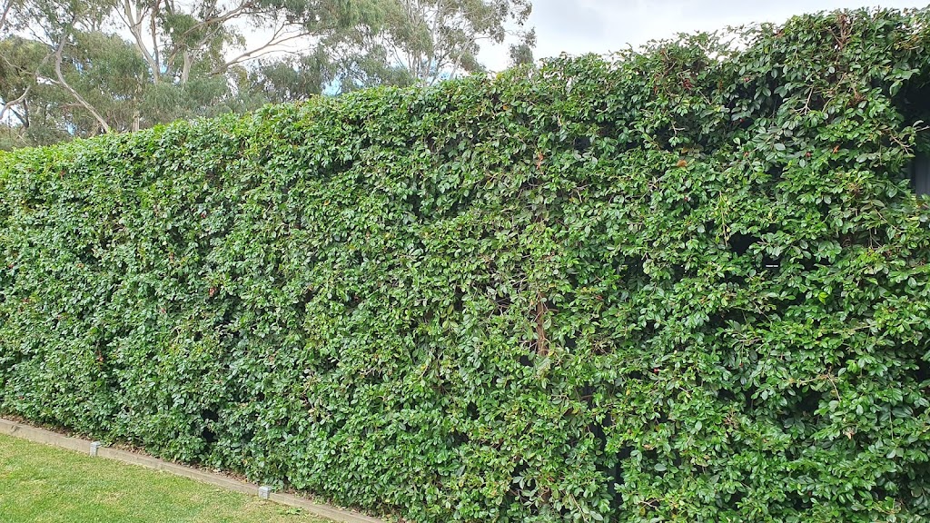 Wise Mowing and More | 14 Yarra Ct, Eaglehawk VIC 3556, Australia | Phone: 0448 988 438 Wise Mowing and More | 14 Yarra Ct, Eaglehawk VIC 3556, Australia | Phone: 0448 988 438