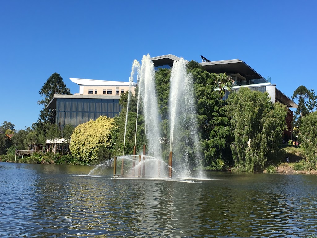 UQ Lakes | University Dr, St Lucia QLD 4067, Australia | Phone: (07) 3365 1111