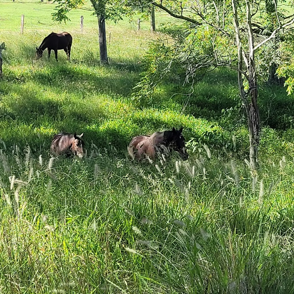 Okey Dokey Farm | Visit by appointment only. Please message to arrange, 144 Flood Reserve Rd, Ruthven NSW 2480, Australia | Phone: 0418 770 508