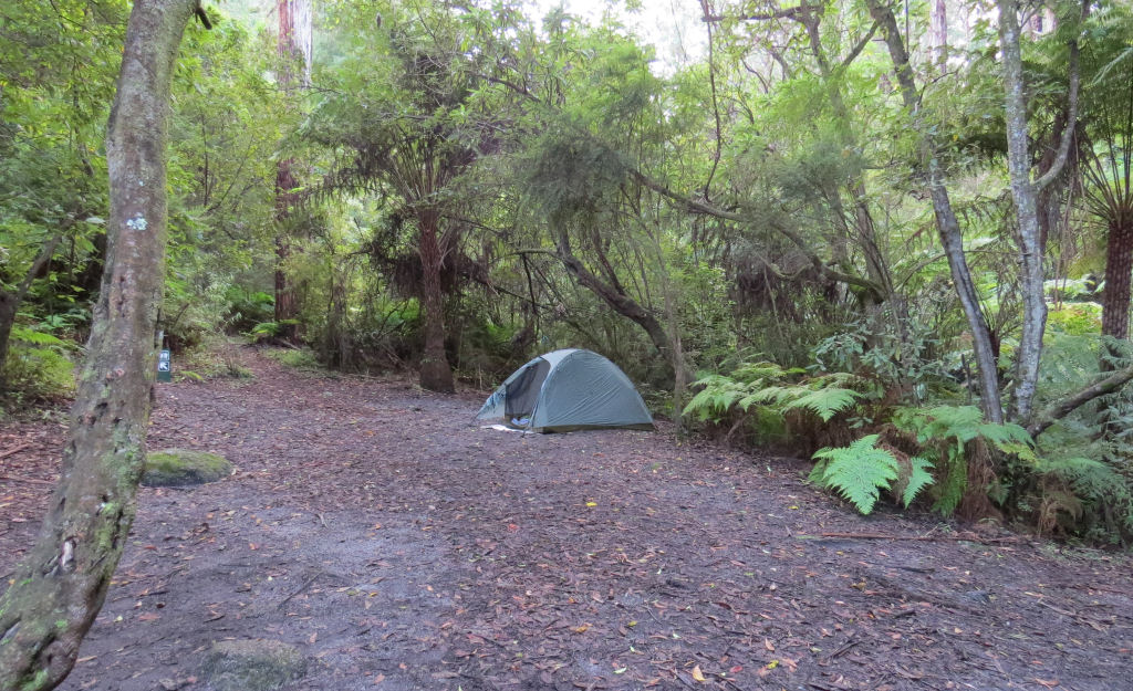 Roaring Meg Campground | Wilsons Promontory VIC 3960, Australia | Phone: 13 19 63