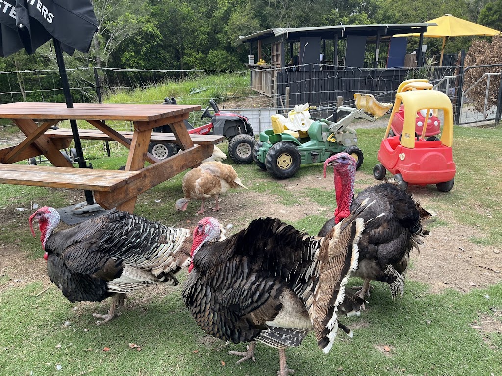 City Chicks Farm & Cafe | 408 Mount Glorious Rd, Samford Valley QLD 4520, Australia | Phone: 0435 226 912