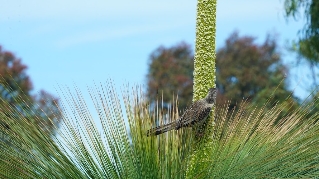 Paradise Point | Toorloo Arm VIC 3909, Australia | Phone: 0438 941 954