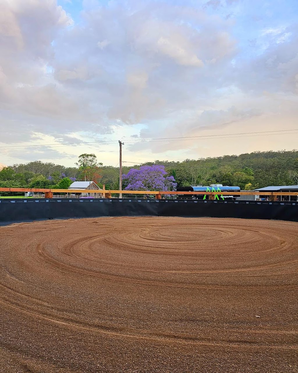 Watagan Australia Agistment & Spelling | 43 Watagan Rd, Martinsville NSW 2265, Australia | Phone: 0450 221 294