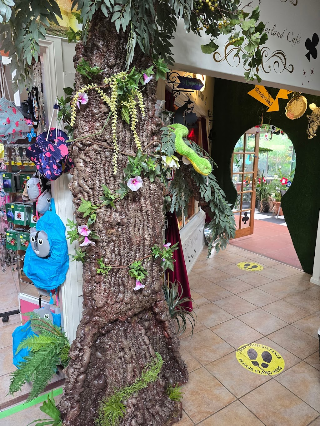 Twisted Wonderland Café | 5 Strouds Rd, Bonville NSW 2450, Australia | Phone: (02) 6653 4766