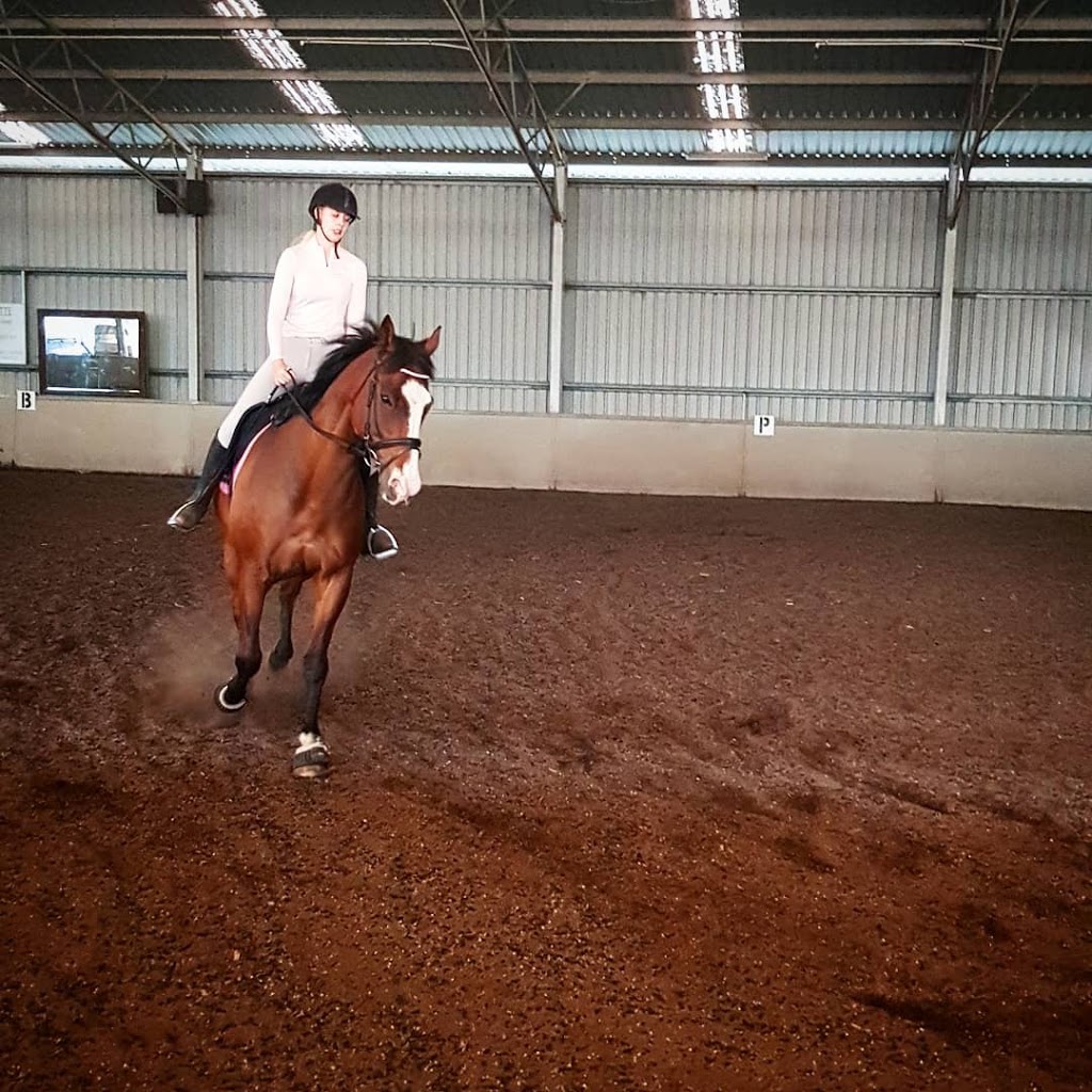 Broadhangar Equestrian | 160 Gunns Gully Rd, Kalkallo VIC 3064, Australia | Phone: 0400 974 503