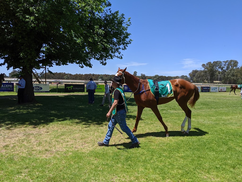 Benalla Pony Club | 5809 Midland Hwy, Benalla VIC 3672, Australia | Phone: 0427 352 752