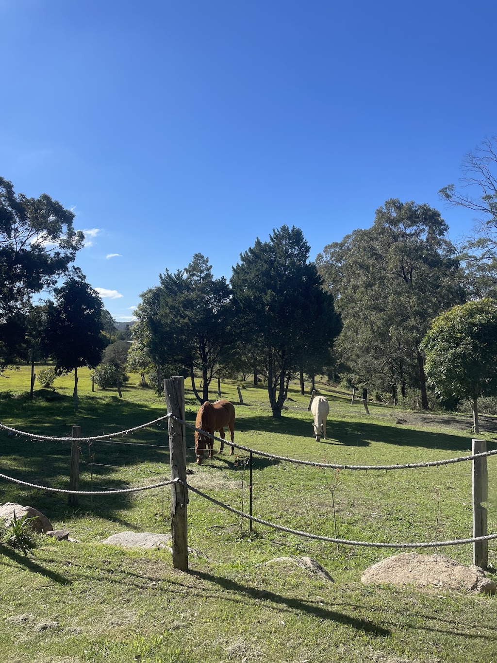 Tranquil-A-Tree | 49 Woodlea Ct, Crows Nest QLD 4355, Australia | Phone: 0410 446 076