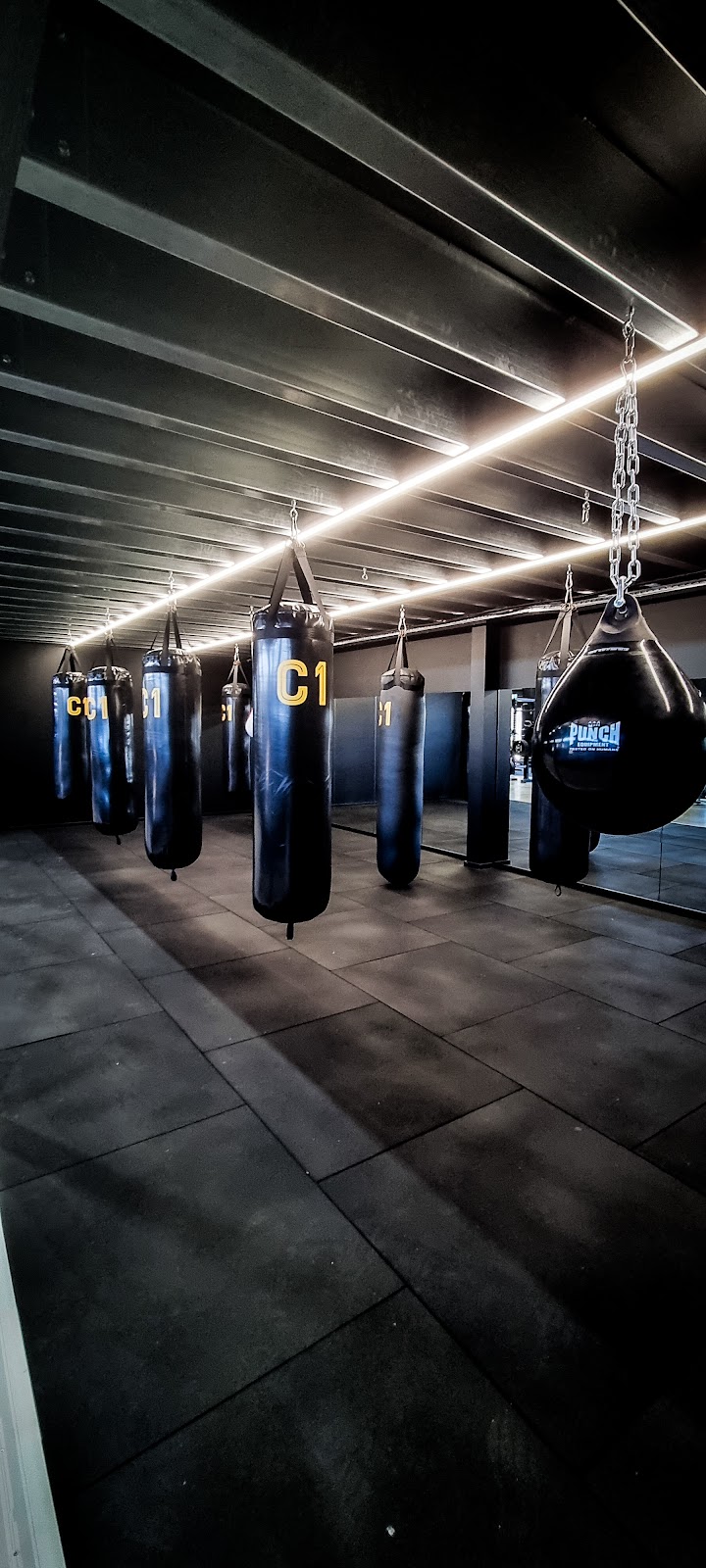 C1 Gym | 5 Hugh Murray Dr, Colac East VIC 3250, Australia | Phone: 0461 497 114