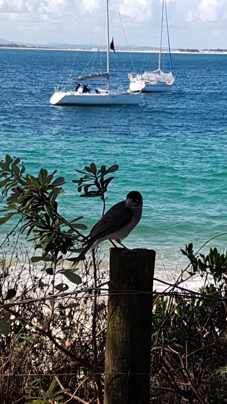 Shoal Bay Foreshore Reserve | park | 70 Shoal Bay Rd, Shoal Bay NSW 2315, Australia | 0249800255 OR +61 2 4980 0255