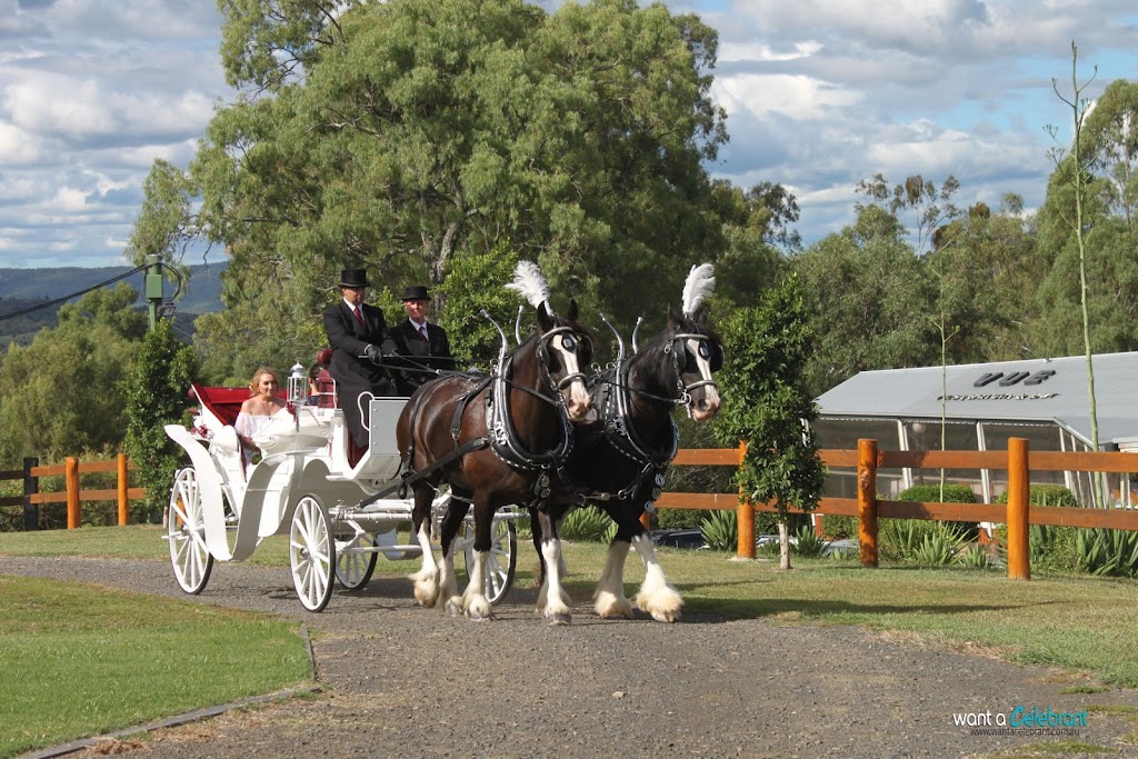 Want a Celebrant |  | 15 Taylor St, Bundamba QLD 4304, Australia | 0432804806 OR +61 432 804 806