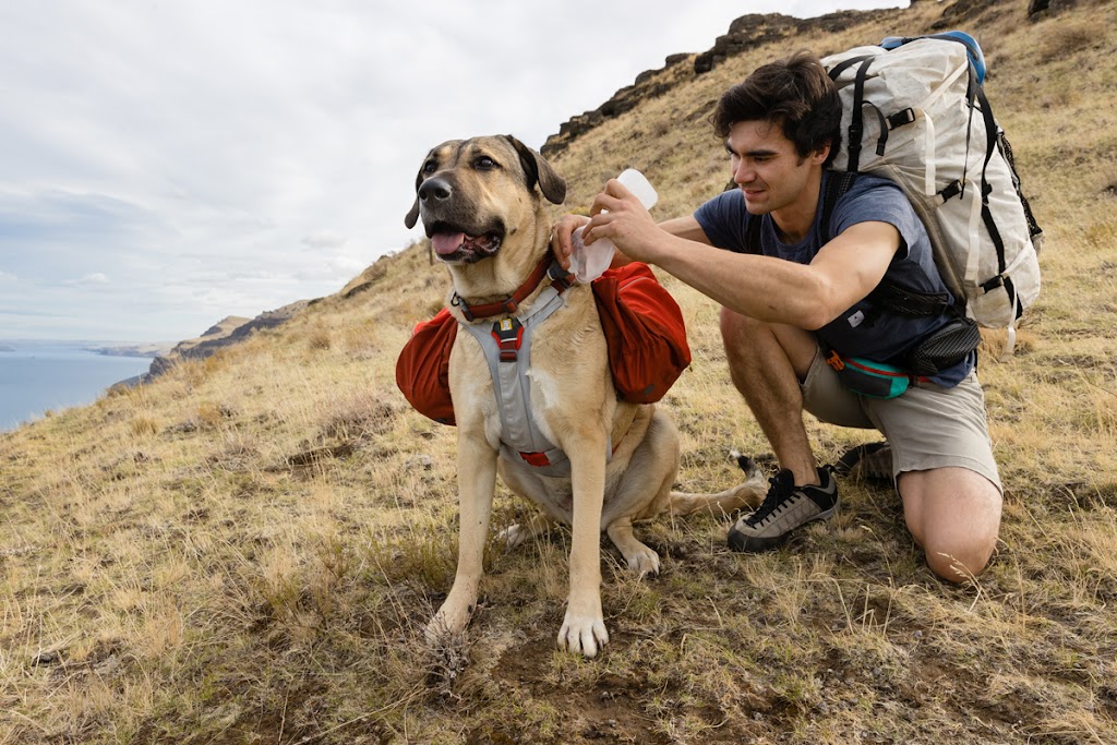 Waggle Canine Adventure Gear | 38 Second Ave, Katoomba NSW 2780, Australia | Phone: 1300 725 781
