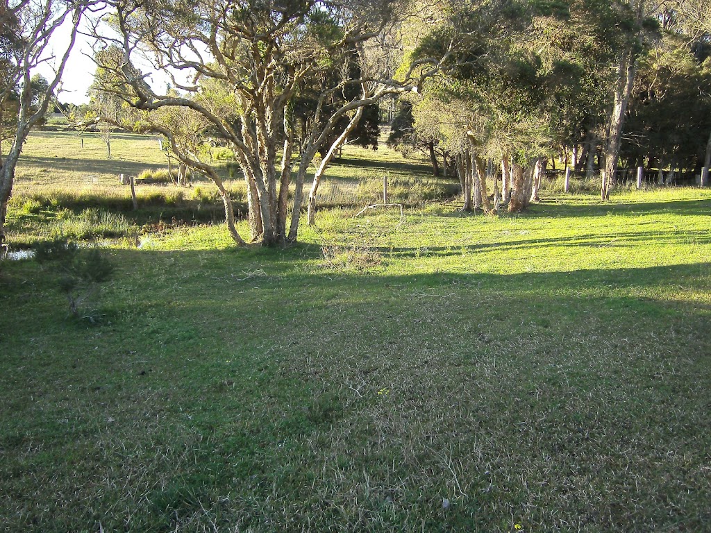 Lazy J Horse Agistment | D515 Princes Hwy, Comberton NSW 2540, Australia | Phone: 0415 404 202