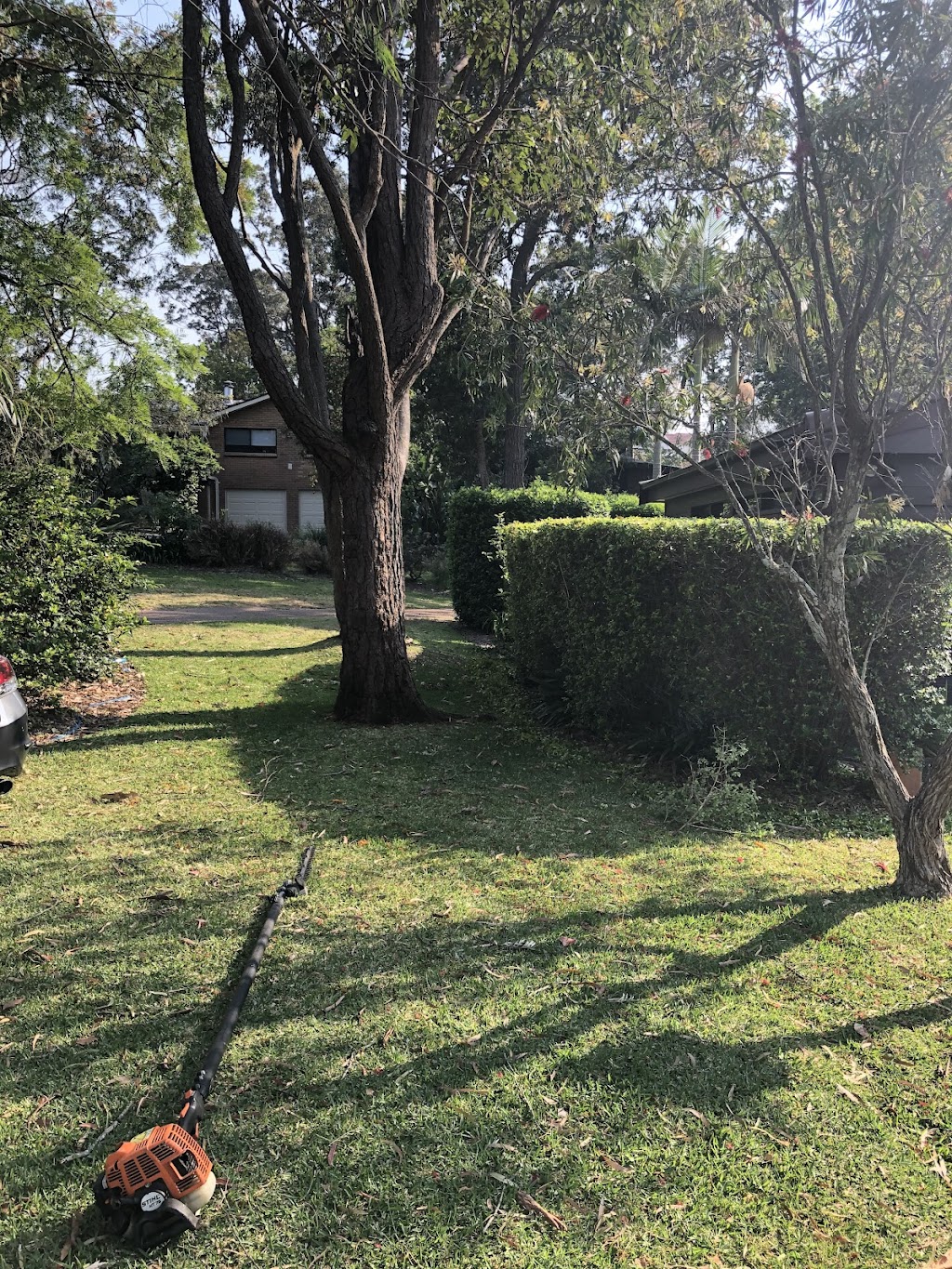Highlands hedging and tree care |  | Sydney St, New Berrima NSW 2577, Australia | 0402210862 OR +61 402 210 862