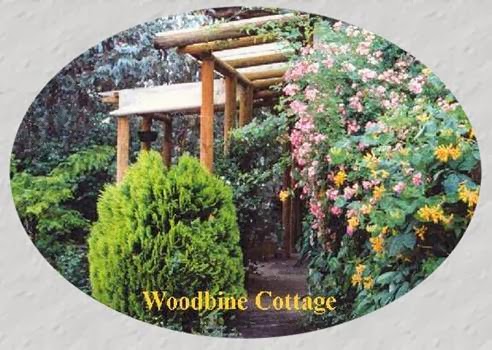 A Winter-Rose Cottage Bed and Breakfast | 79 Morrisset St, Bathurst NSW 2795, Australia | Phone: (02) 6332 2661