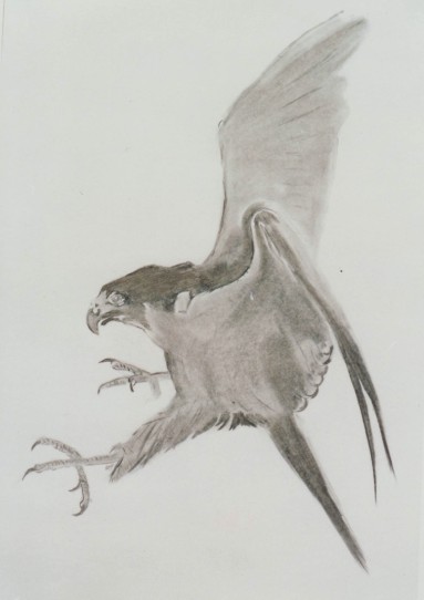 Johnson Art | 29 Waterview Cres, West Haven NSW 2443, Australia | Phone: 0421 174 151