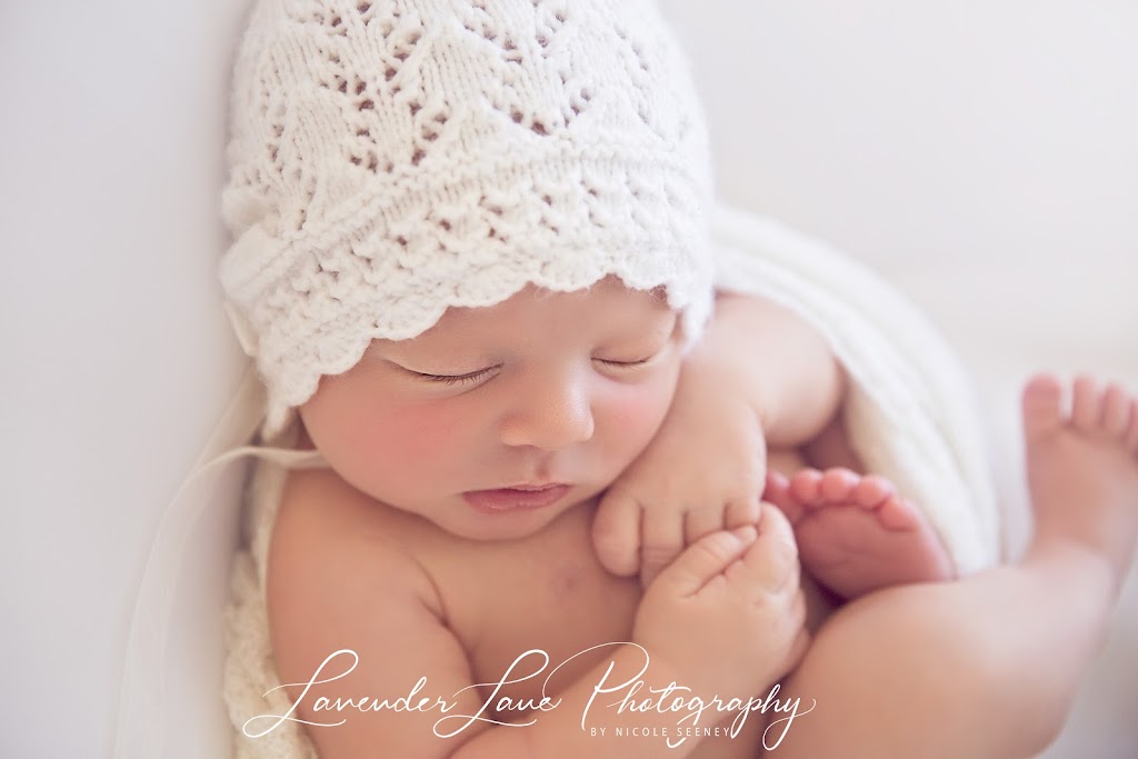 Lavender Lane Photography | Shop 2/50 Ainsdale St, Chermside West QLD 4032, Australia | Phone: 0405 343 949