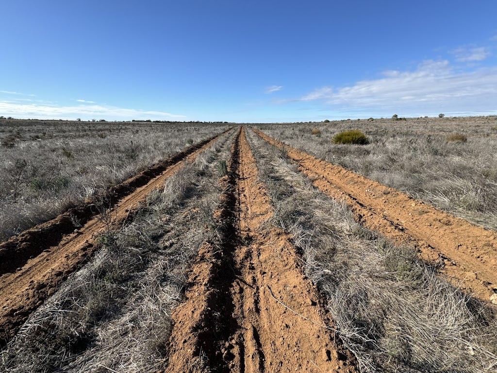 Land Life | Social Foundry Building, 86 Mollison St, Kyneton VIC 3444, Australia | Phone: 0428 298 582