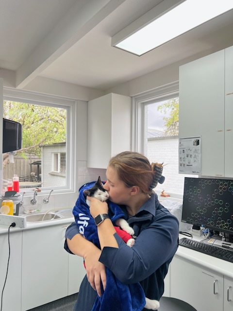 Vets of Geelong - Lara | 75 Forest Rd S, Lara VIC 3212, Australia | Phone: (03) 5243 0077