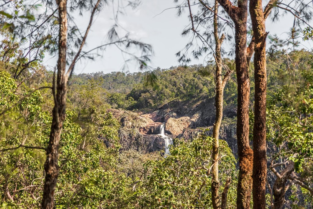 Girringun National Park | Lumholtz QLD 4849, Australia | Phone: 13 74 68