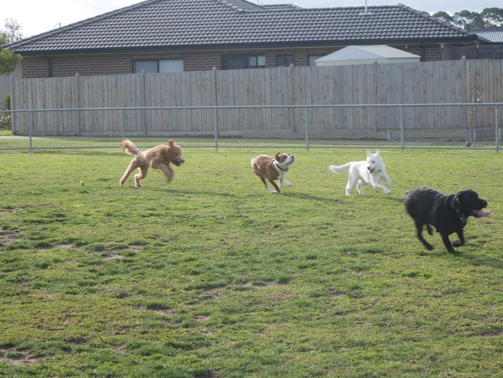 Dog Park | park | Officer VIC 3809, Australia