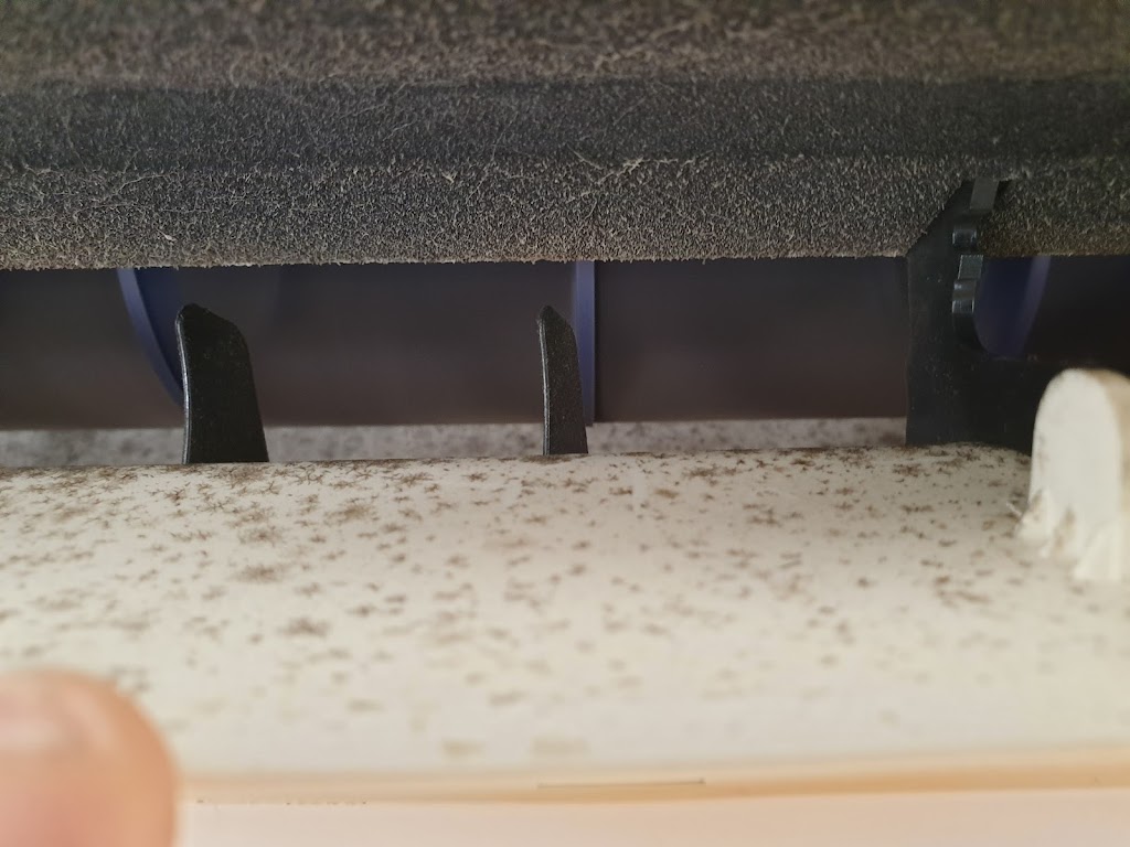 Australian Mould Bacterial Testing Services | 29 Kanyanya Ave, Clifton Springs VIC 3222, Australia | Phone: 0491 148 104