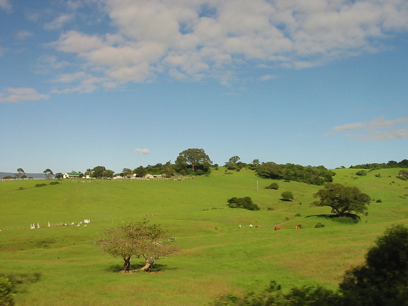 Dharawal Nature Reserve | park | New South Wales, Australia