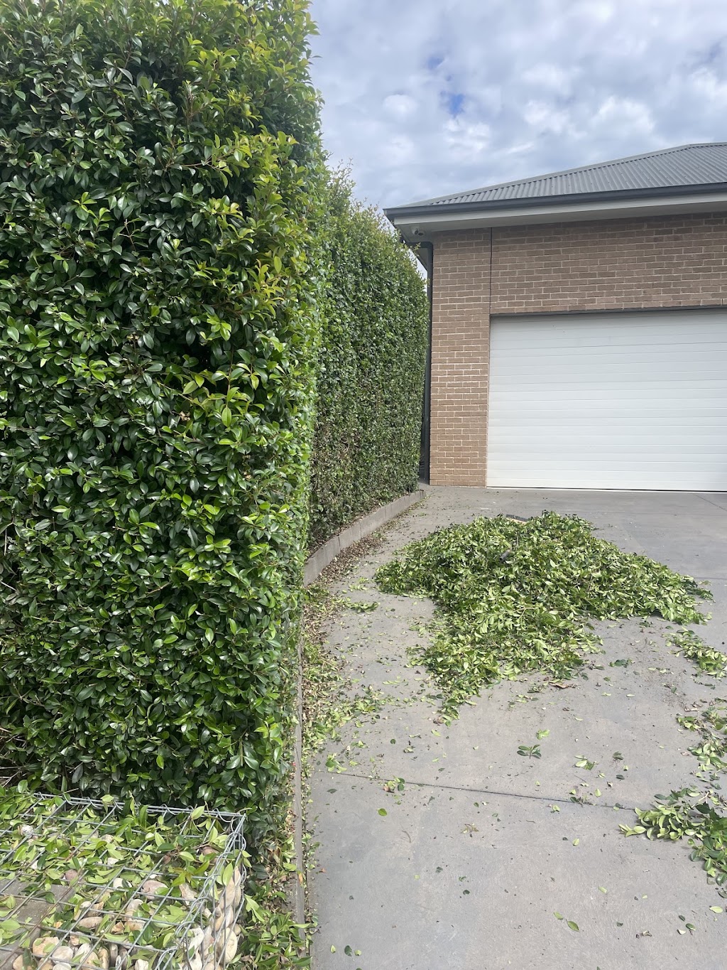 JMP Landscapes | 14 Berrima Rd, Wilton NSW 2571, Australia | Phone: 0401 885 349
