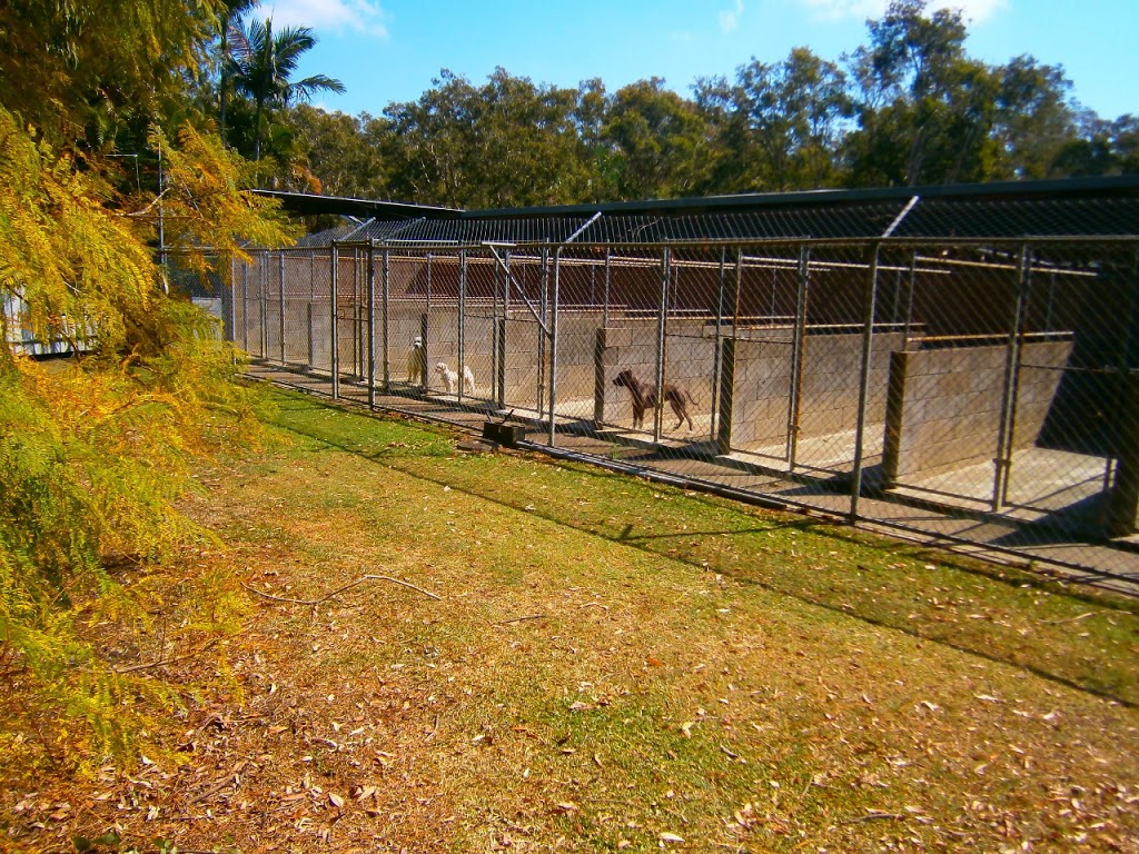 Chandler Boarding Kennels | 81 Eastwood St, Chandler QLD 4155, Australia | Phone: (07) 3390 2997