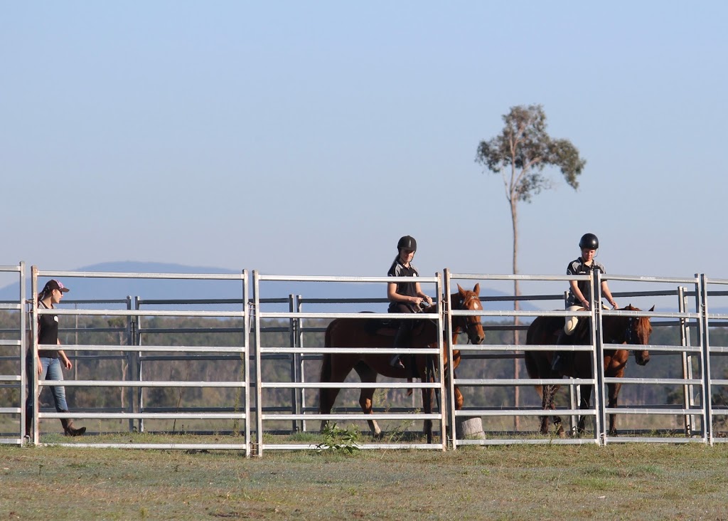 Quarter Mile Ranch | 383-425 Wallace Rd N, Ningi QLD 4511, Australia | Phone: 0417 442 992