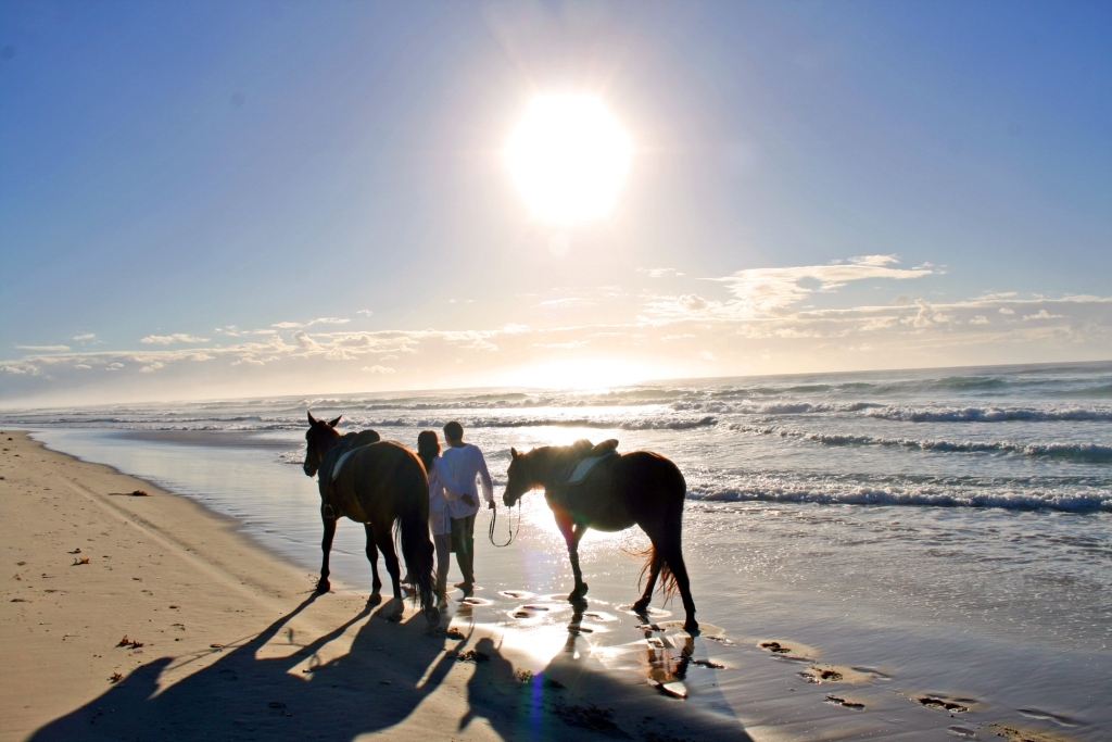 Tassiriki Ranch Beach Horse Riding & Holiday Cabins | 249 Moylans Ln, Empire Vale NSW 2478, Australia | Phone: (02) 6683 4602