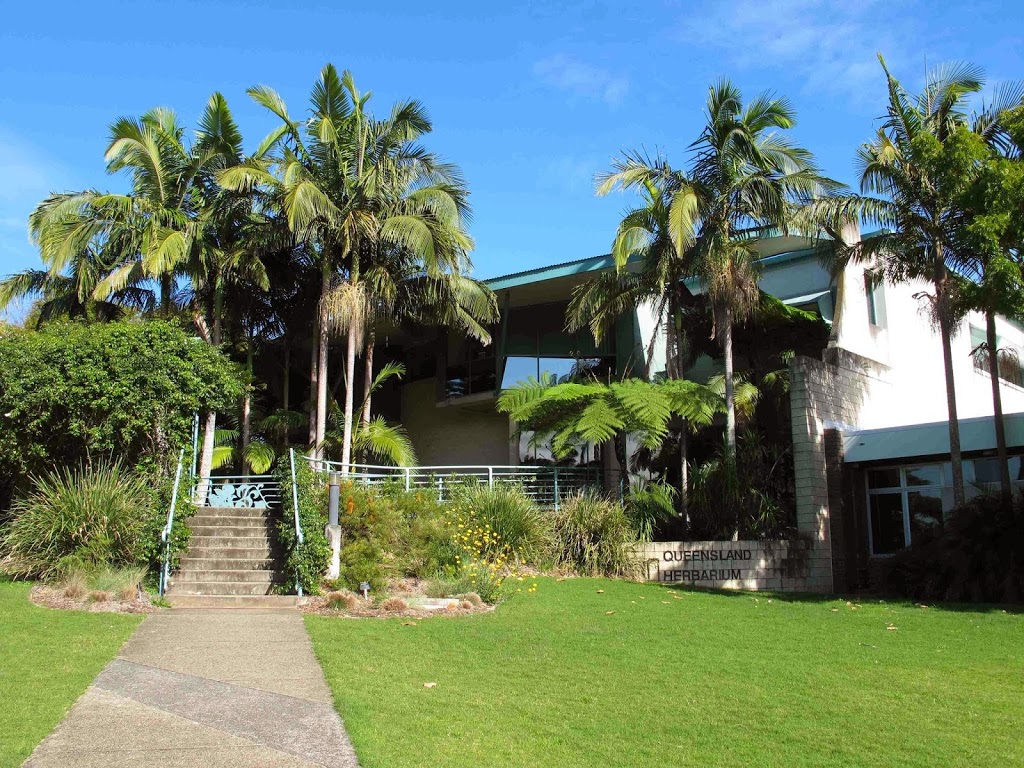 Queensland Herbarium | local government office | Mount Coot-Tha Rd, Toowong QLD 4066, Australia | 0731997699 OR +61 7 3199 7699
