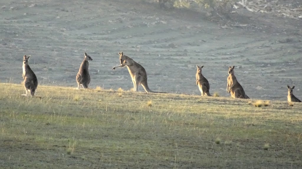 ACT Nudist Club Inc. | Kings Highway, Kowen Forest ACT 2620, Australia | Phone: (02) 6176 1799