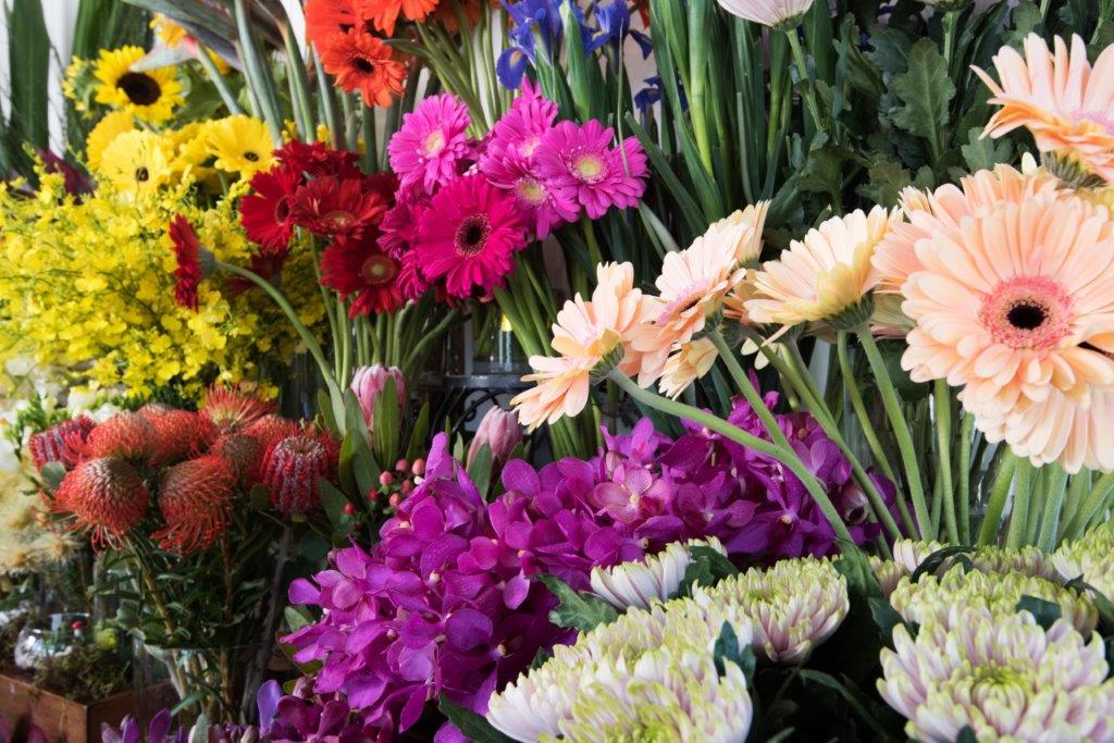 Anns Flowers | florist | 255 Charman Rd, Cheltenham VIC 3192, Australia | 0395837527 OR +61 3 9583 7527