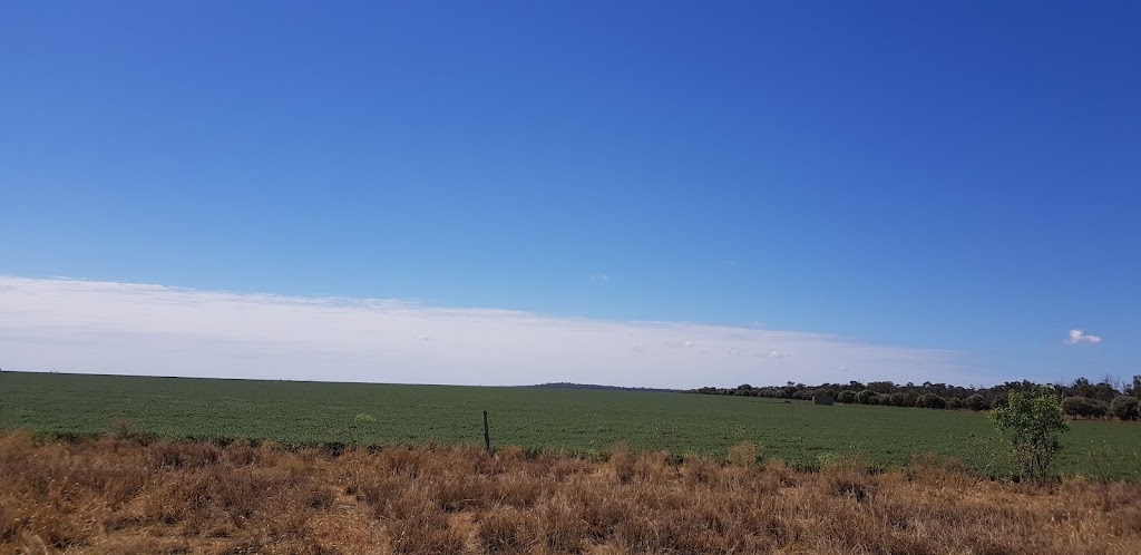 Mazeppa National Park | Frankfield QLD 4721, Australia | Phone: (07) 3170 5470