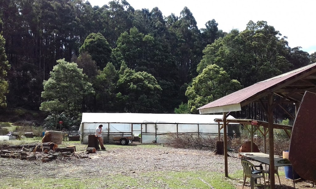 Penguin Community Garden | 235 Ironcliffe Rd, Penguin TAS 7316, Australia | Phone: (03) 6425 6928