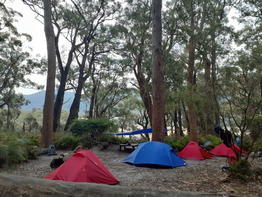 Holistic Hikes | Jones Rd, Somerville VIC 3912, Australia | Phone: 0416 583 075