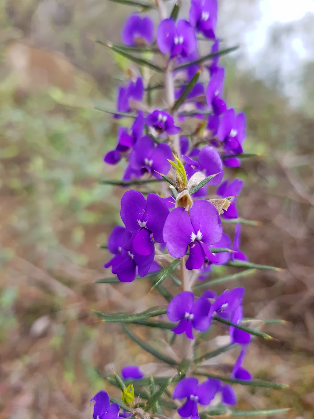 Deep Creek | park | Hovea WA 6071, Australia