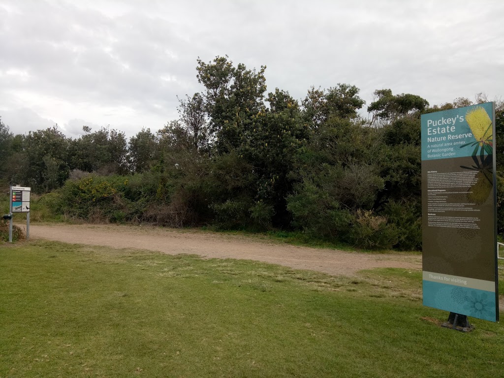 Puckeys Estate | park | Fairy Meadow NSW 2519, Australia