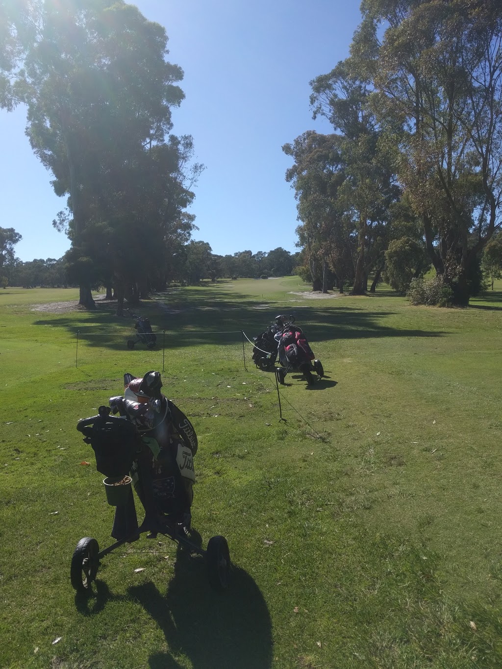 Lang Lang Golf Club |  | 90 Golf Club Rd, Lang Lang VIC 3984, Australia | 0356596284 OR +61 3 5659 6284