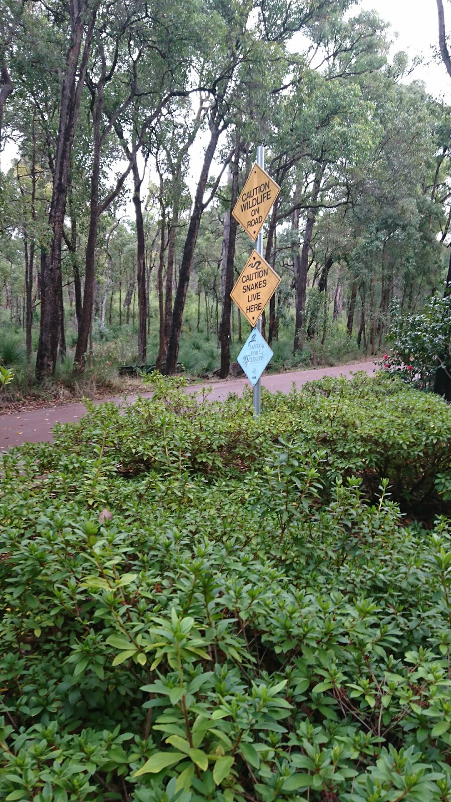 Araluen Botanic Park | 362 Croyden Rd, Roleystone WA 6111, Australia | Phone: (08) 9234 2200