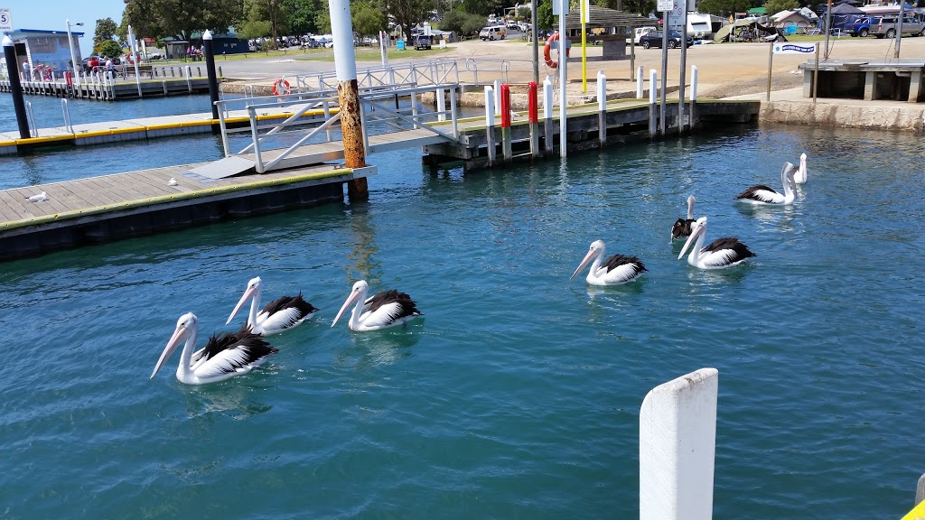 Mallacoota Hireboats | tourist attraction | 10 Buckland Dr, Mallacoota VIC 3892, Australia | 0438447558 OR +61 438 447 558