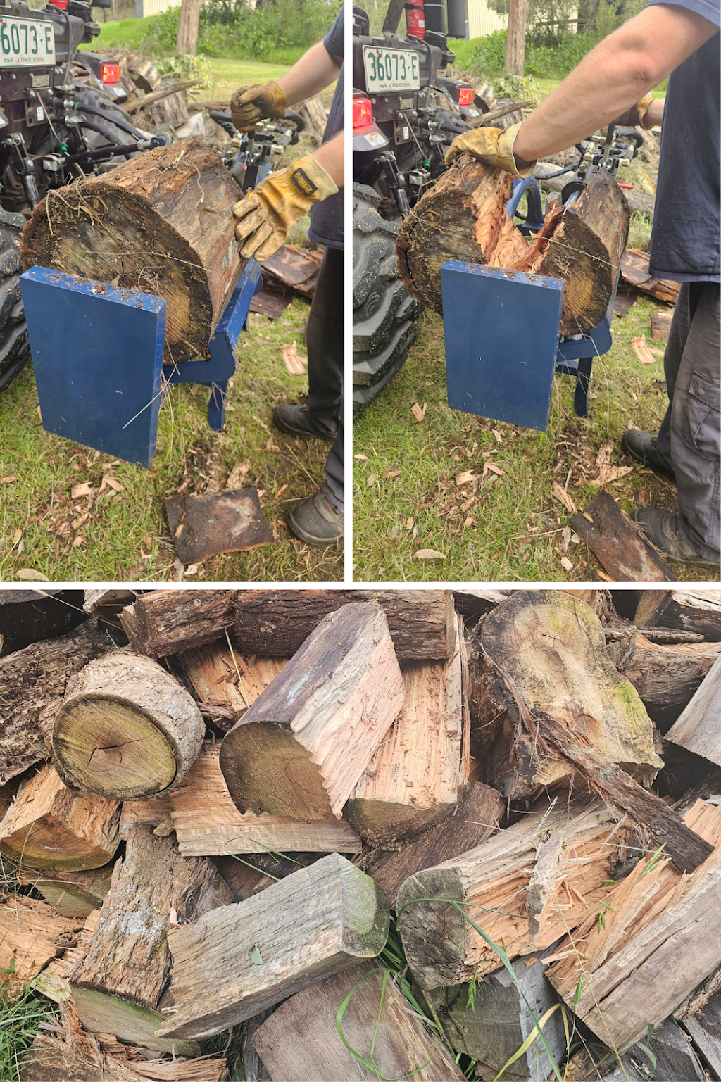 Wollombi Valley Tree Services | 4893 Great N Rd, Fernances Crossing NSW 2325, Australia | Phone: 0411 521 875