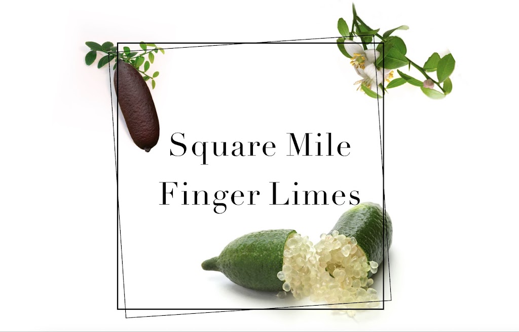 Square Mile Finger Limes | Square Mile, 710 Mount Pleasant Rd, Dalby QLD 4405, Australia | Phone: 0428 768 008
